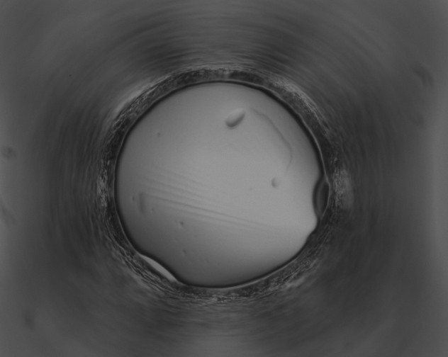 X0000090501064200708031204