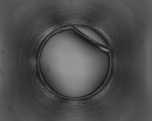 X0000090501065200708031204