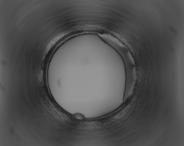 X0000090501066200708031204