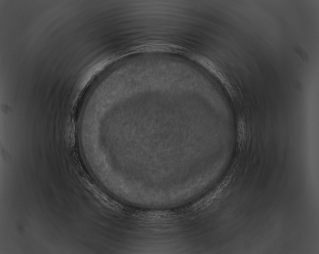 X0000090501067200708031204