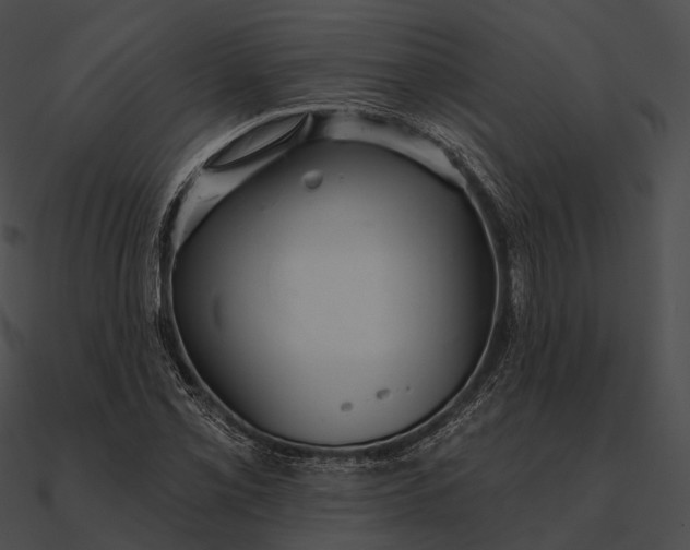 X0000090501069200708031204