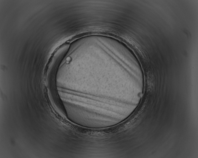 X0000090501070200708031204