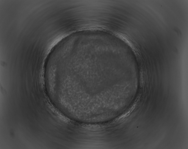 X0000090501071200708031204