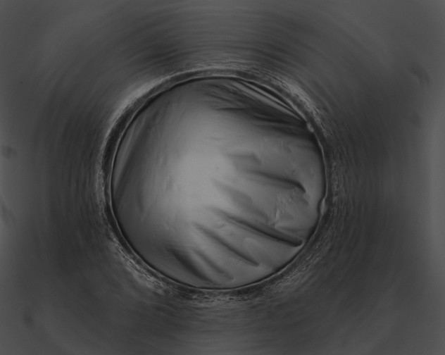 X0000090501072200708031204