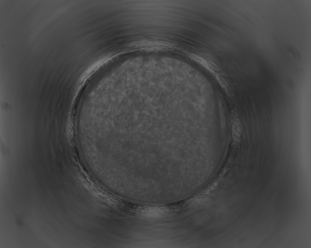 X0000090501074200708031204