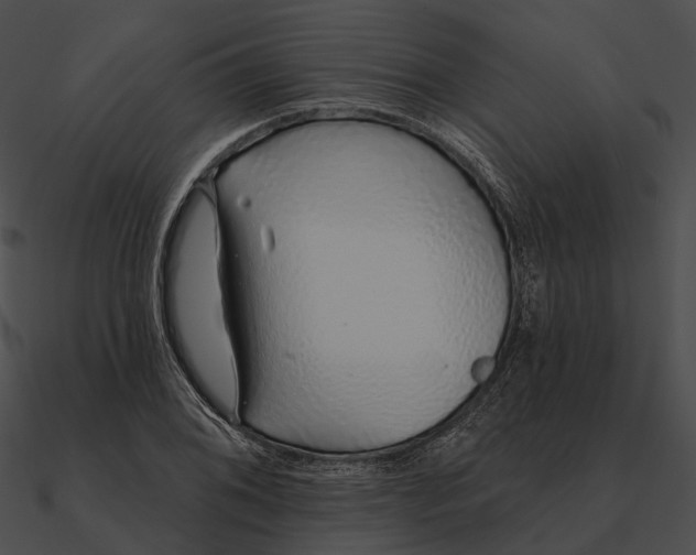 X0000090501076200708031204