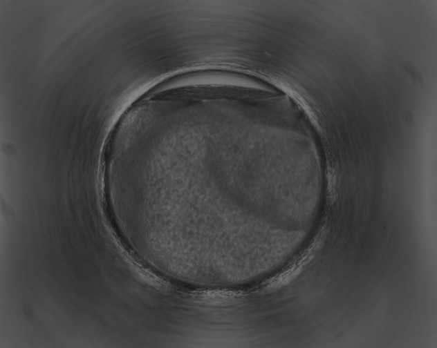 X0000090501077200708031204