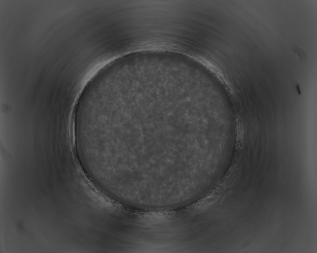 X0000090501078200708031204