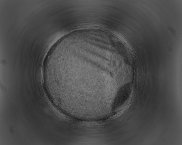 X0000090501079200708031204