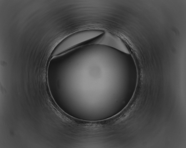 X0000090501081200708031204