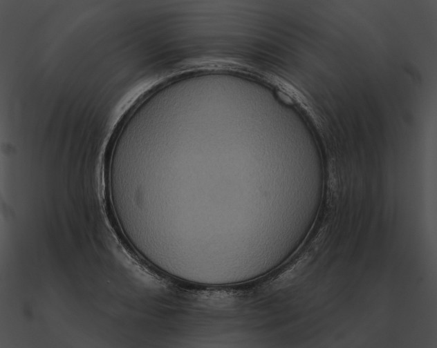 X0000090501082200708031204