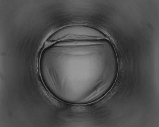 X0000090501083200708031204