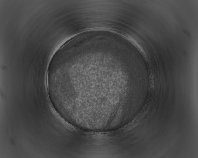 X0000090501084200708031204