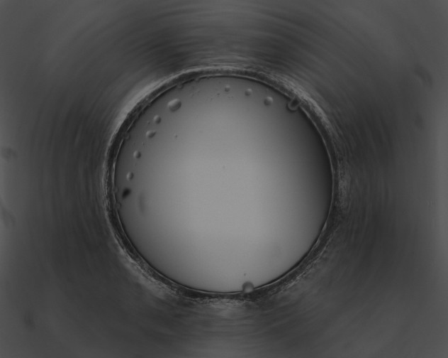 X0000090501085200708031204