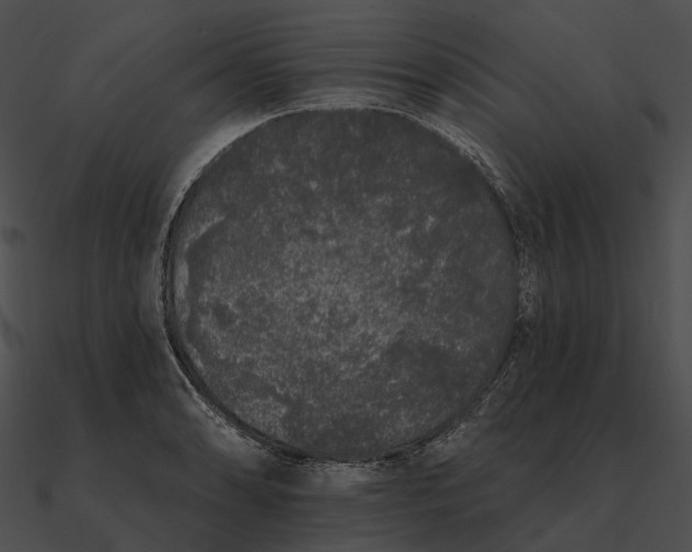 X0000090501086200708031204