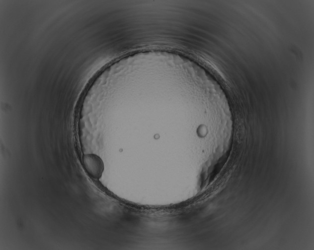 X0000090501087200708031204