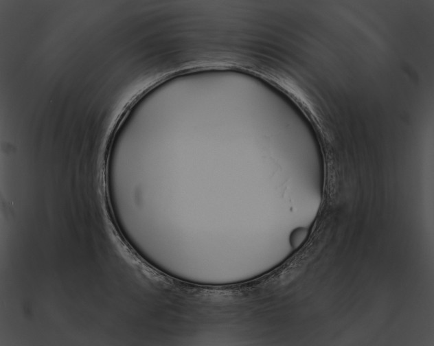 X0000090501088200708031204