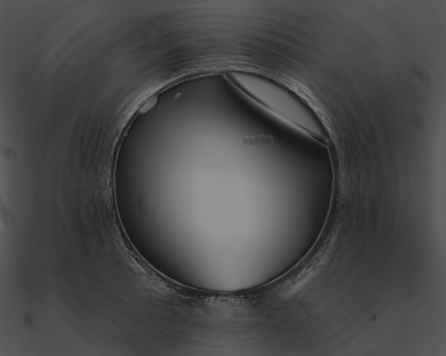 X0000090501089200708031204