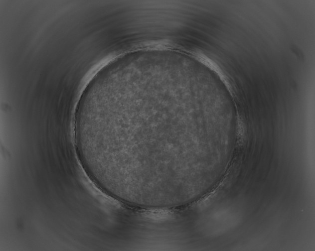 X0000090501090200708031204