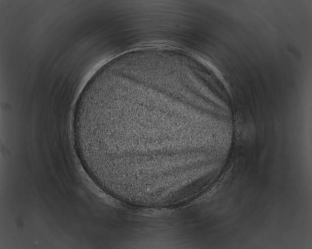 X0000090501091200708031204