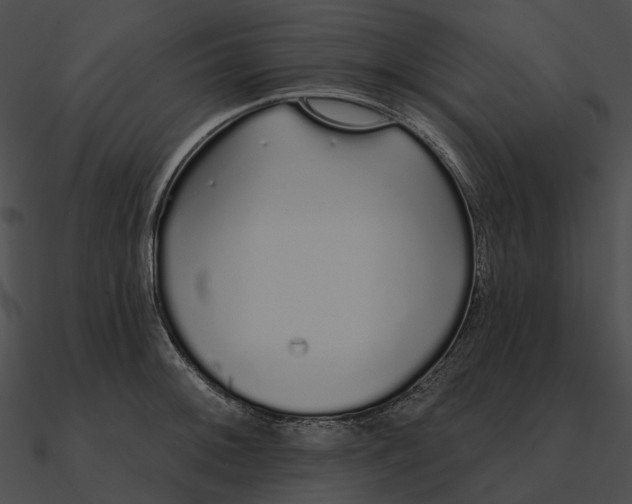 X0000090501092200708031204