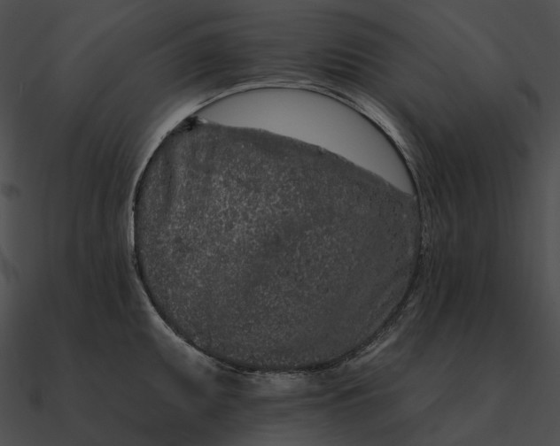 X0000090501095200708031204