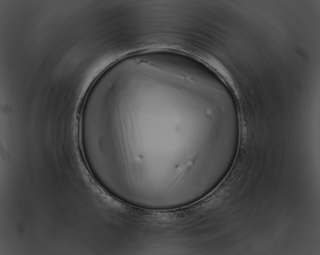 X0000090501096200708031204