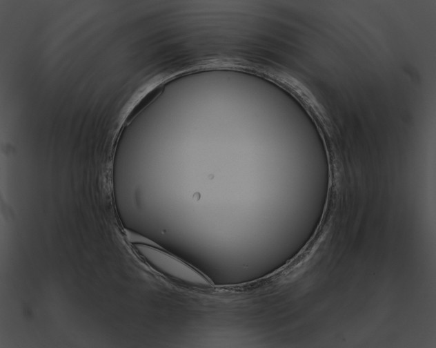 X0000090501097200708031204