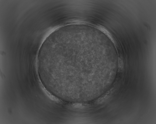 X0000090501098200708031204