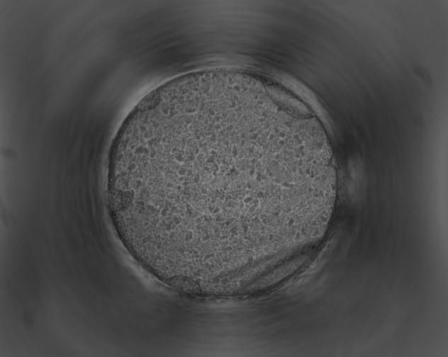 X0000090501099200708031204