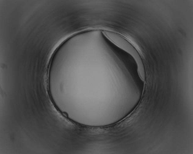 X0000090501100200708031204