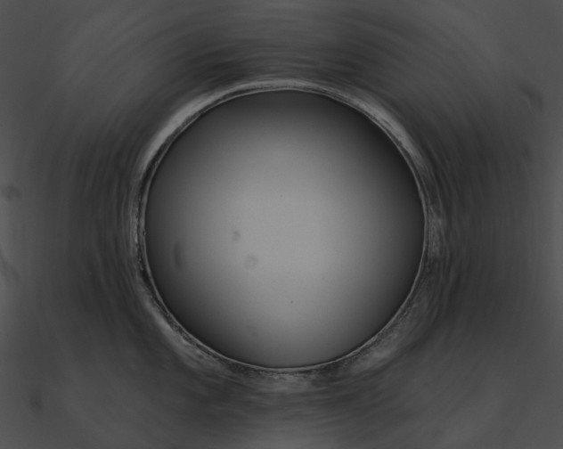 X0000090501101200708031204