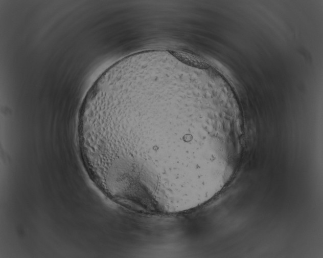 X0000090501103200708031203