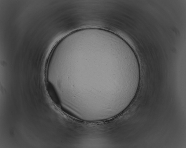 X0000090501104200708031203