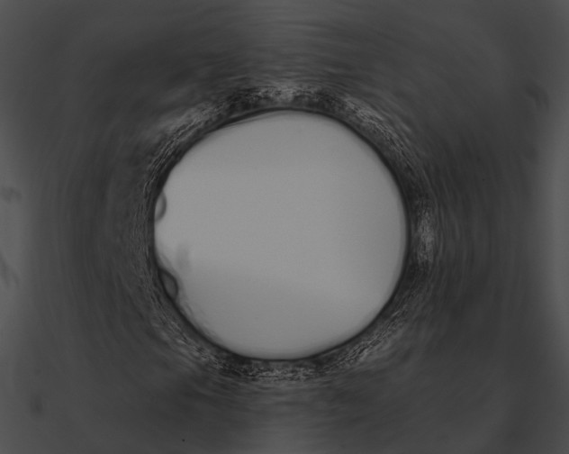 X0000090501105200708031203