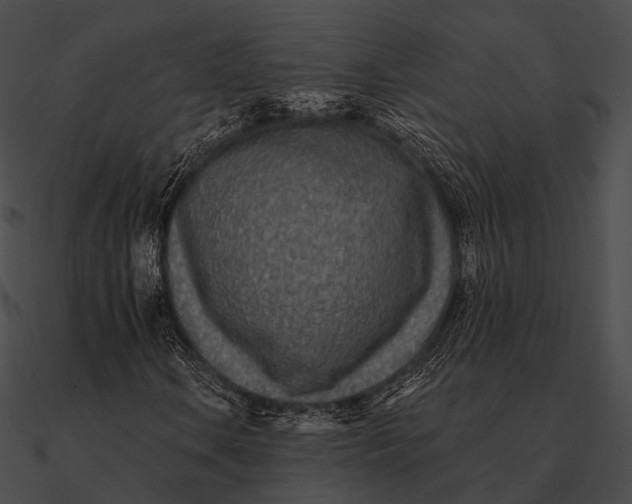 X0000090501106200708031203