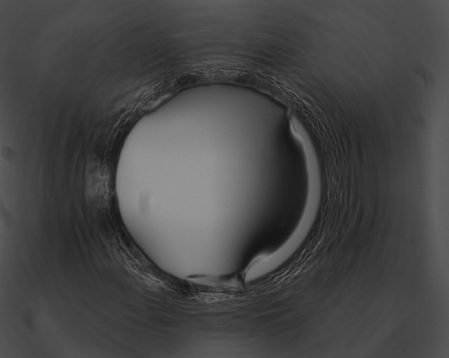 X0000090501108200708031203