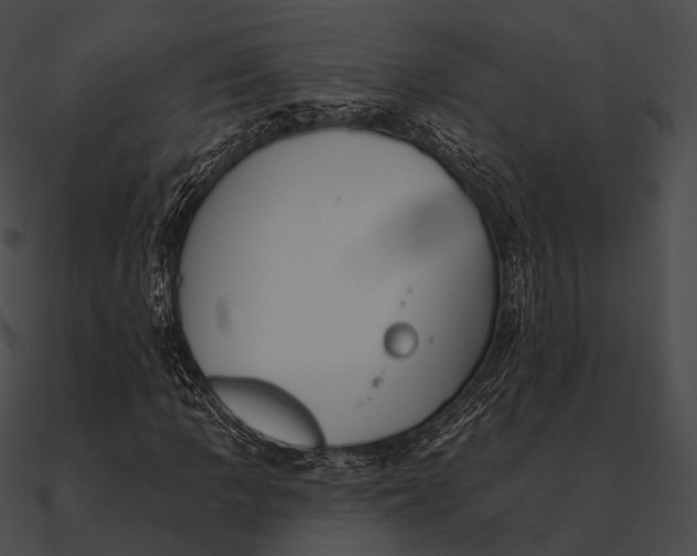 X0000090501109200708031203