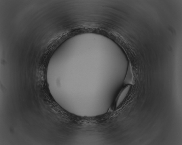 X0000090501110200708031203