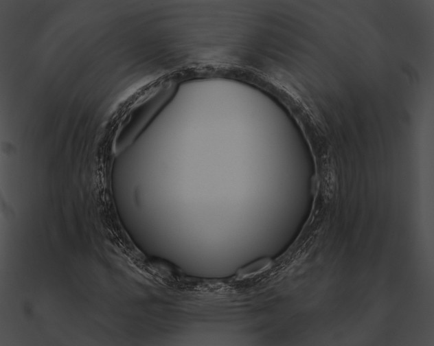 X0000090501112200708031203