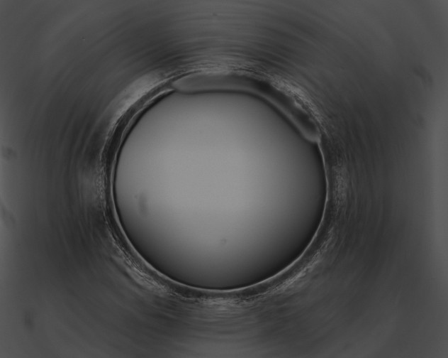 X0000090501114200708031203