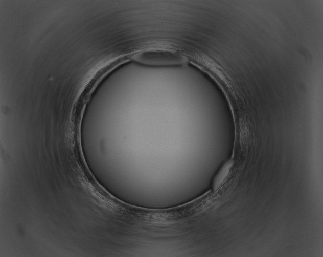 X0000090501116200708031203