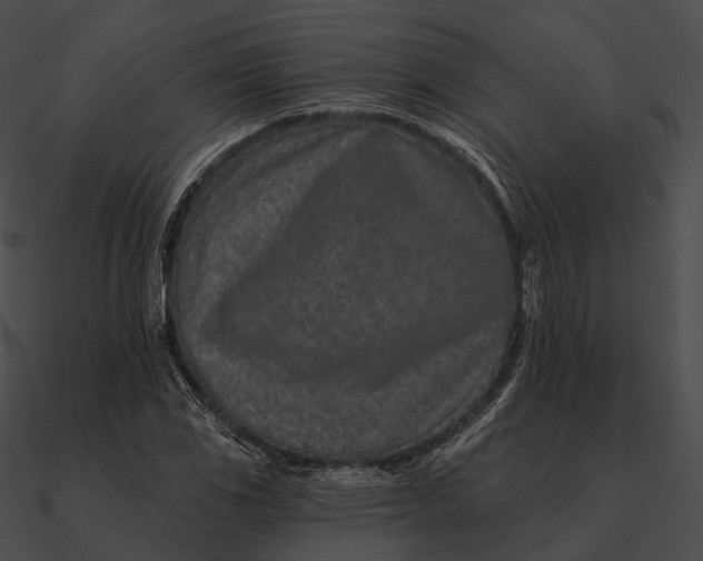 X0000090501117200708031203