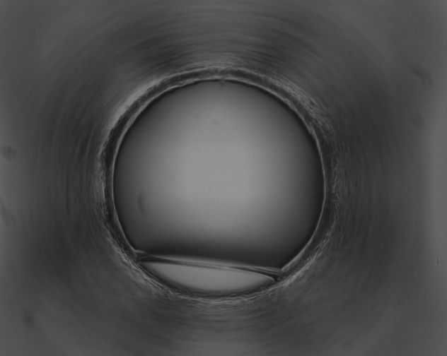 X0000090501118200708031203