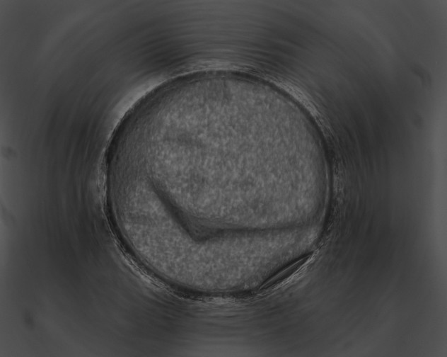 X0000090501119200708031203