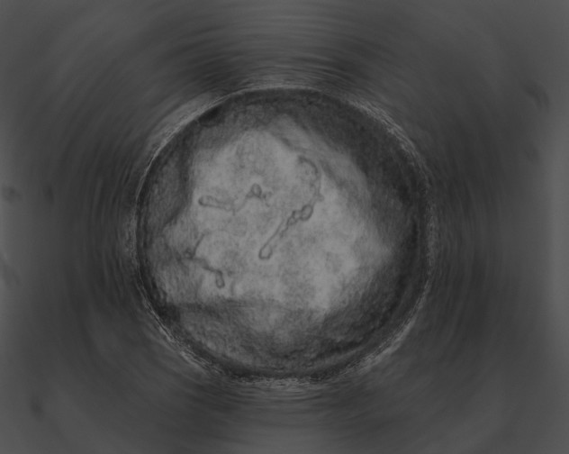 X0000090501121200708031203