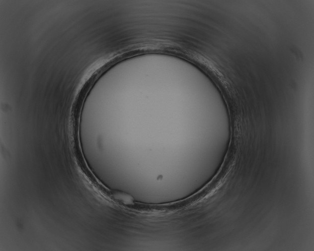 X0000090501122200708031203