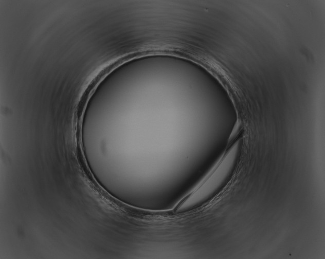 X0000090501124200708031203