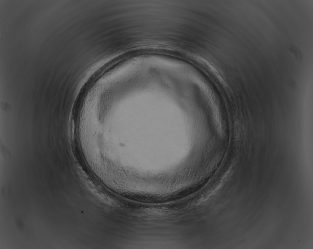 X0000090501125200708031203