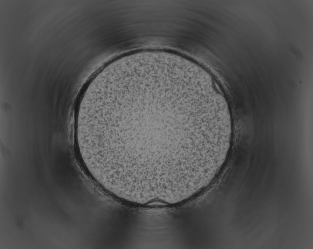 X0000090501126200708031203